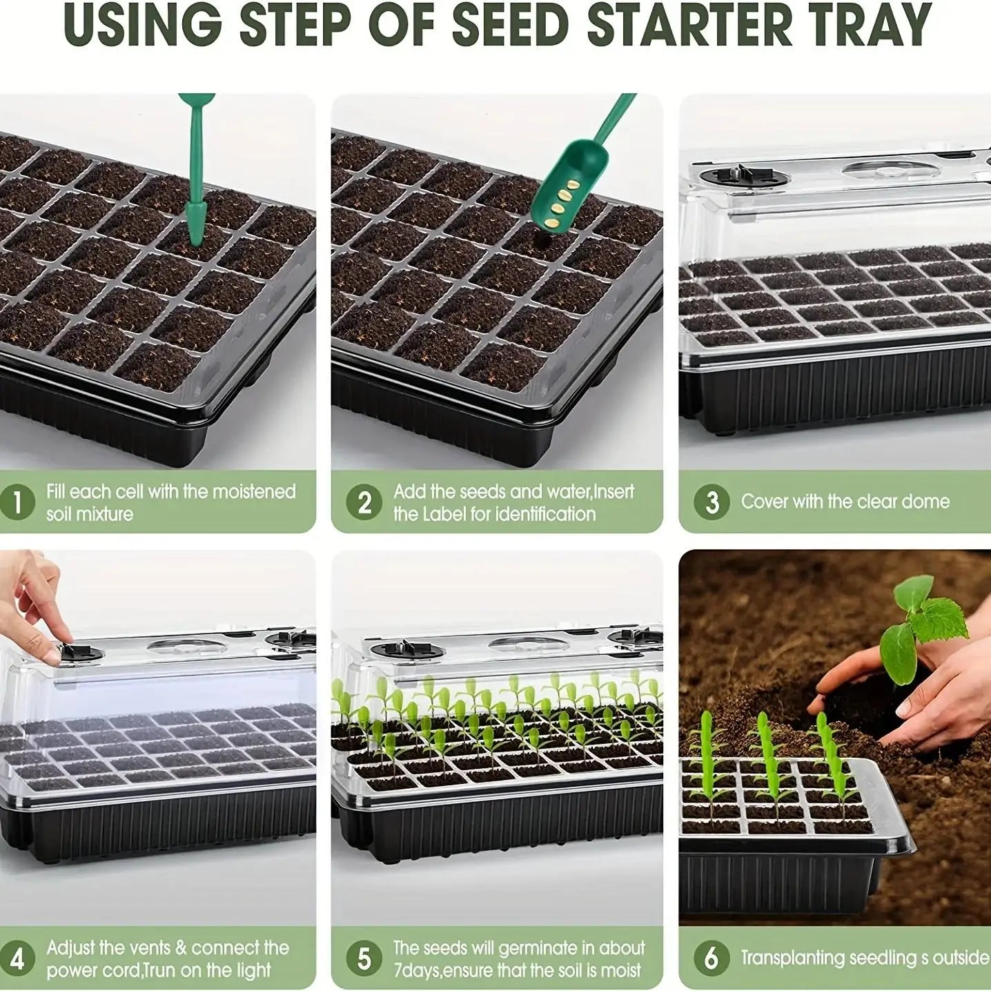 Seed Starter pack
