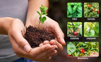 Seed Starter pack