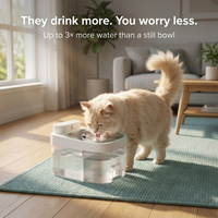 PawAqua Smart Fountain™